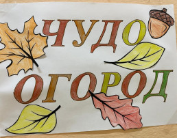 Чудо огород Чудо огород.