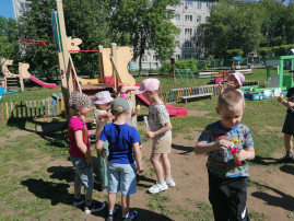 Здравствуй лето Здравствуй лето.