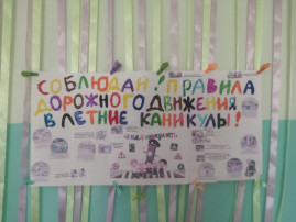 профилактическая акция "Летние каникулы" профилактическая акция "Летние каникулы".